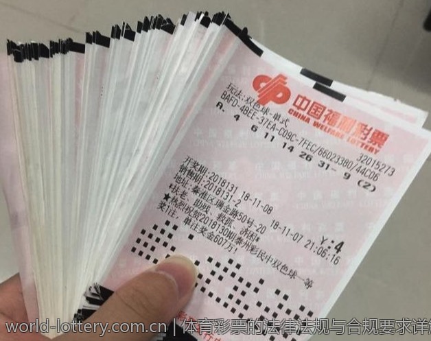 体育彩票的法律法规与合规要求详解