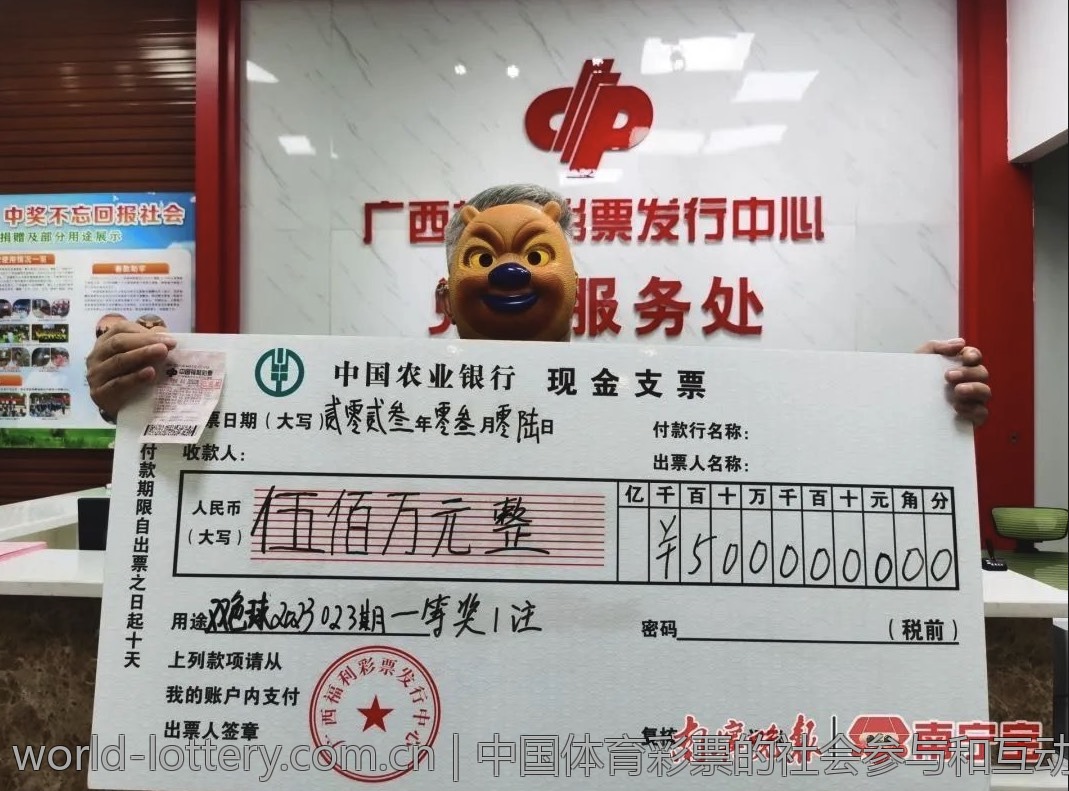 中国体育彩票官方网站快速查询接口