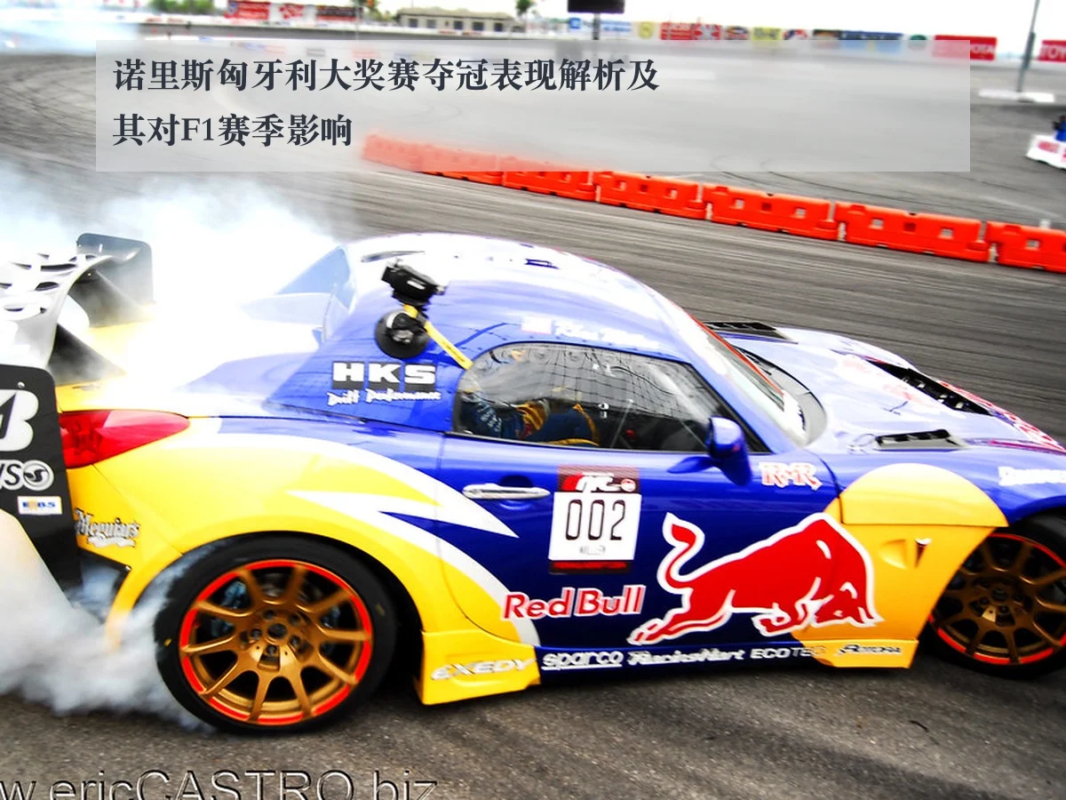 诺里斯匈牙利大奖赛夺冠表现解析及其对F1赛季影响